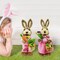 Set of 2pcs,14" H Easter Straw Bunny Figurine Tabletop Decor, Pink Sisal Rabbit Couple Statue with Carrots&Eggs, Spring Party Garden Table Decor Centerpiece for Home Office Kitchen Farmhouse;